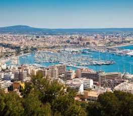 palma de mallorca